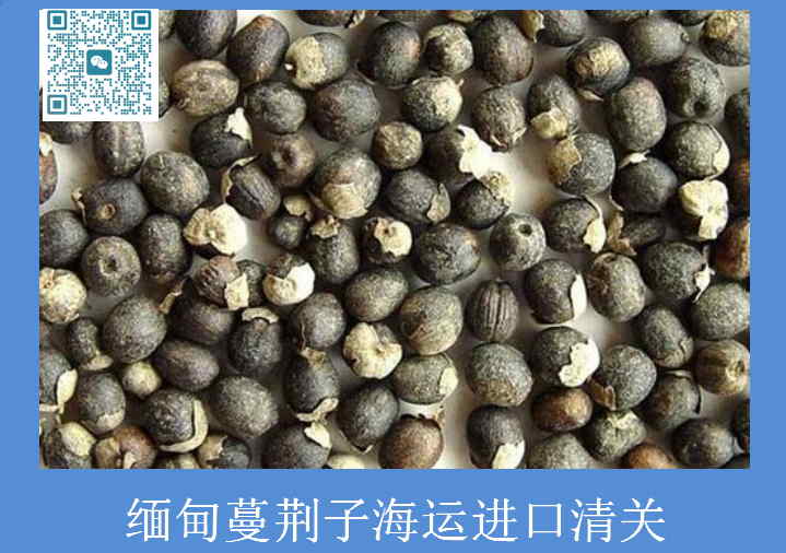 缅甸蔓荆子海运进口清关.jpg