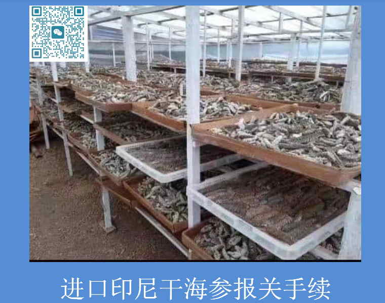 进口印尼干海参报关手续.jpg