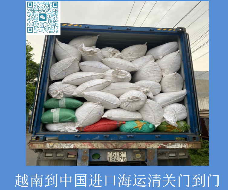 越南到中国进口海运清关.jpg