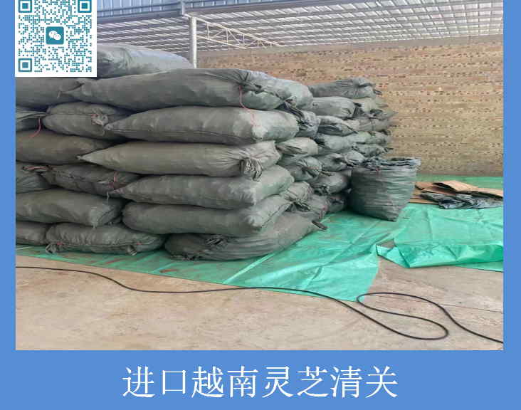 进口越南灵芝清关.jpg