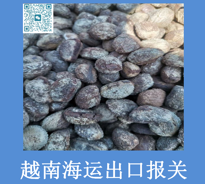 越南海运出口报关.png