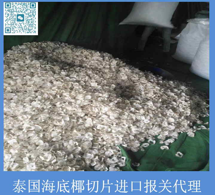 泰国海底椰片清关.jpg