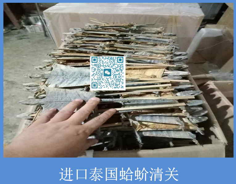 进口泰国蛤蚧清关.jpg