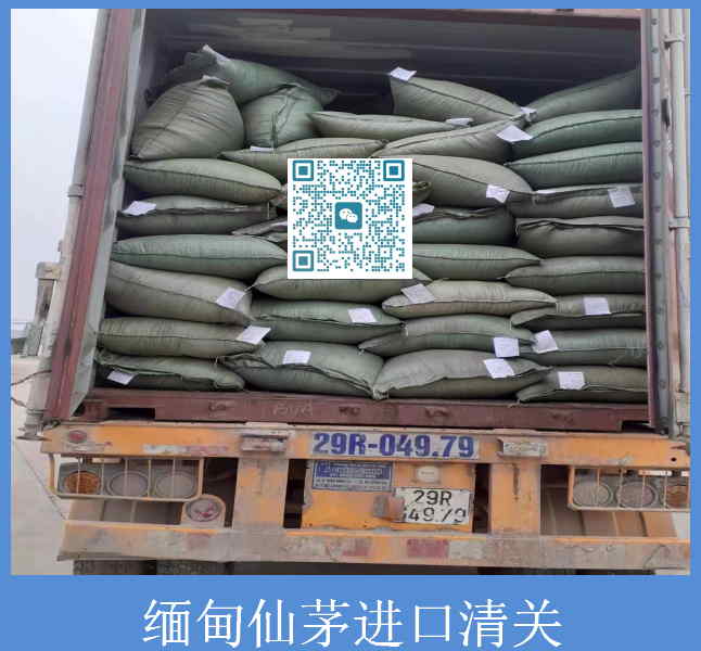 缅甸仙茅进口清关A.jpg
