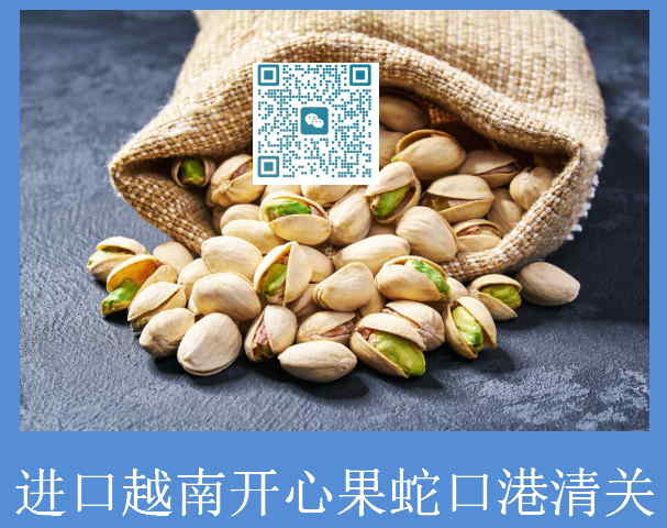 越南开心果蛇口港清关.jpg